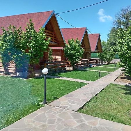 Vila Viktori Pirot Exterior foto