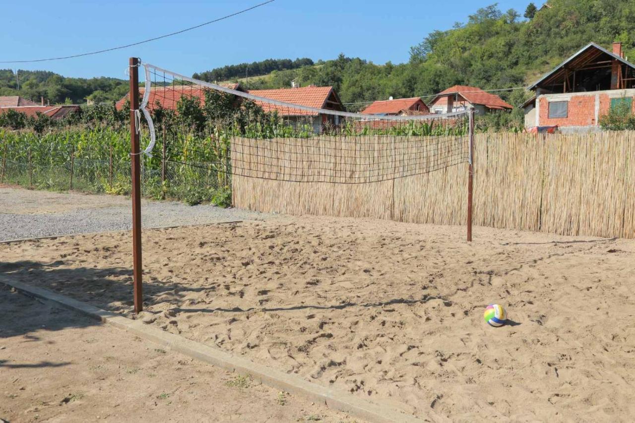 Vila Viktori Pirot Exterior foto